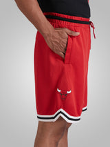 Chicago Bulls Basketball Performance Shorts