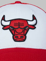 Chicago Bulls Trucker Cap