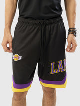 Los Angeles Lakers Embroidered Shorts