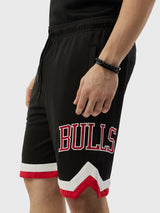 Chicago Bulls Embroidered Shorts