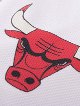 Chicago Bulls: Basketball Shorts