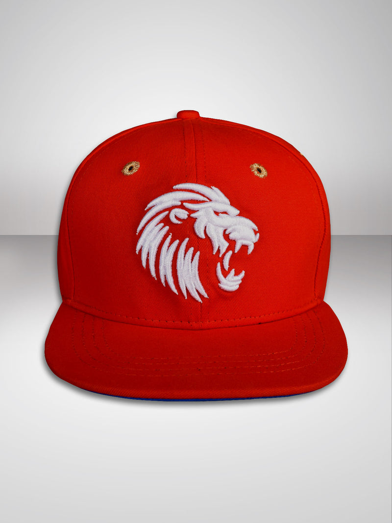 PBKS: Fan Cap - Red
